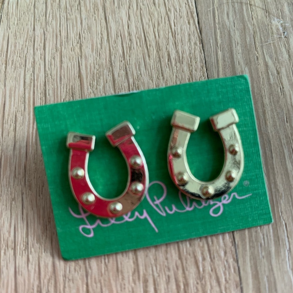 Horseshoe earrings